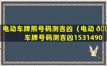 电动车牌照号码测吉凶（电动 🐦 车牌号码测吉凶1531490）